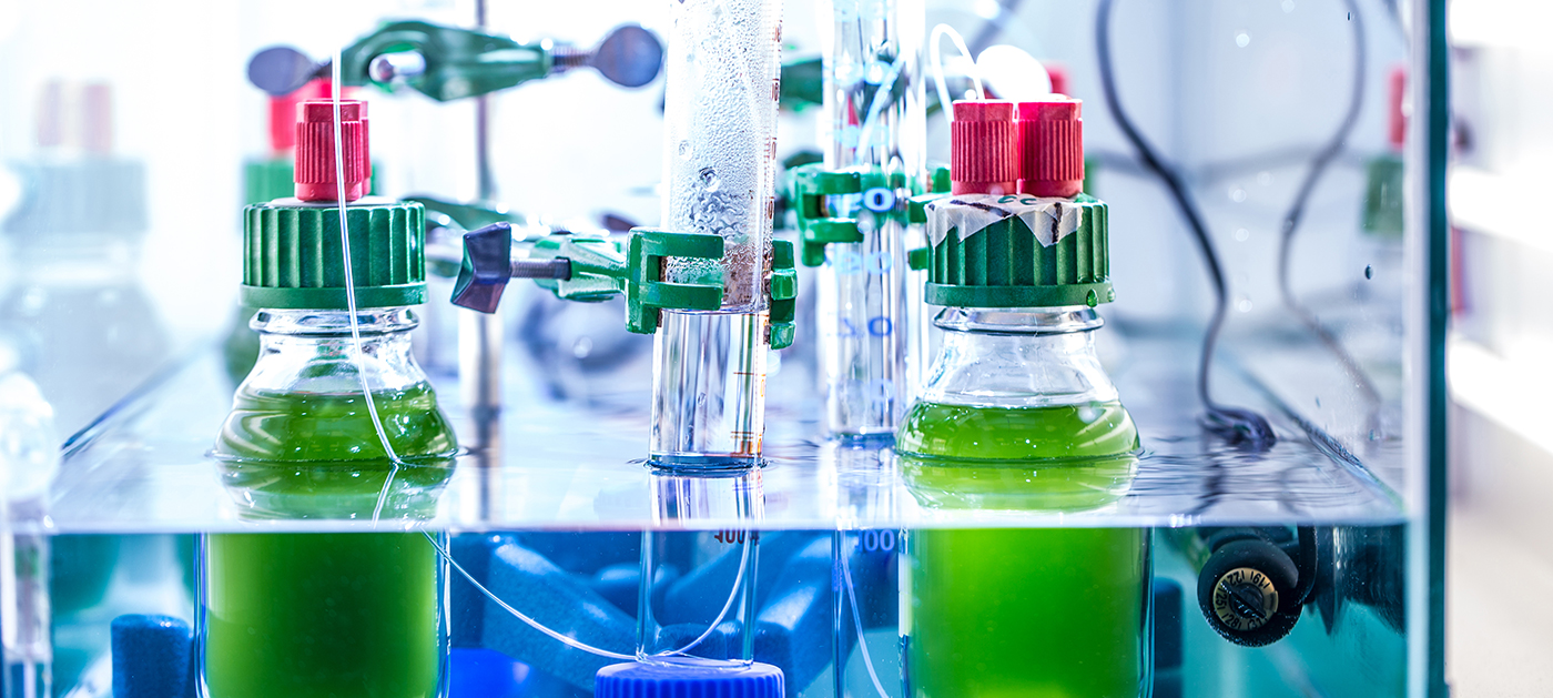 Mettez vos impôts au service de la transition énergétique !