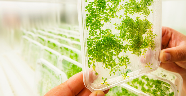 La mise au point de procédés industriels économes en énergie